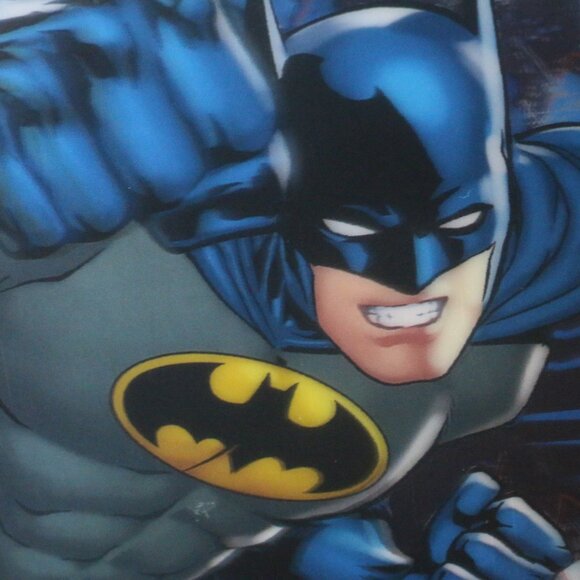 Dark Knight Batman Backpack with 3D Effect DC Comics - Picture 11 of 11